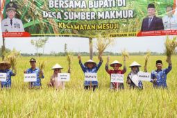 Pj Bupati Mesuji panen raya padi