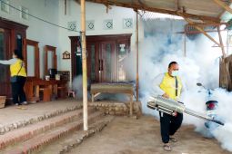 Dinkes Situbondo "fogging" daerah endemis demam berdarah