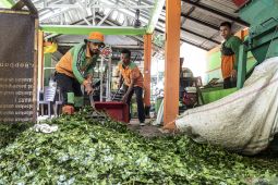 Composting a new approach in handling waste: Minister