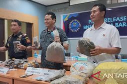 BNN Papua Barat tangkap lima pengedar ganja