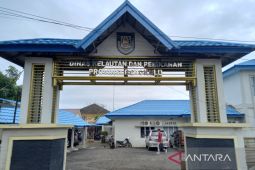 DKP Bengkulu siapkan Rp1,5 miliar budidayakan ikan sistem bioflok