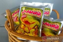 Di tangan warga Ciemas mangga jadi produk bernilai ekonomi tinggi