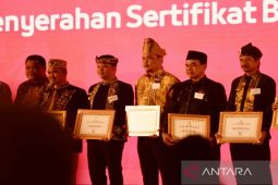 Tanah Bumbu raih penghargaan "Frambusia" dari Kemenkes RI