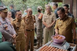 Pemkab Karawang gulirkan program Satu Hari Satu Telur cegah stunting