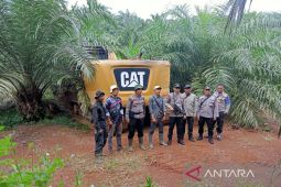Konsorsium Bentang Alam Seblat desak APH tindak tegas perusak hutan