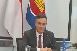 Anggota Parlemen Eropa: Putin menyerang Ukraina tanpa alasan