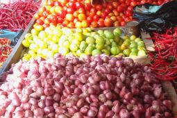 Harga kebutuhan pokok masyarakat di Ambon normal