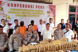 Satresnarkoba Polres Langkat tangkap tersangka 233 kilogram ganja