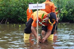 Basarnas Ternate tanam  mangrove di Pantai Kelurahan Gambesi