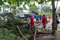 BMKG imbau masyarakat Bengkulu waspada cuaca buruk