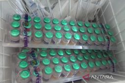 Bengkulu usulkan bantuan vaksin rabies ke pusat sebanyak 30 ribu dosis