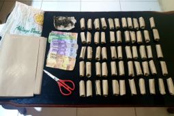 Polsek Pangkalan Susu Langkat tangkap pemilik 56 paket ganja