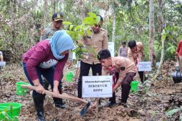 KLHK sebut lahan basah yang dimiliki Indonesia berperan sebagai gudang karbon
