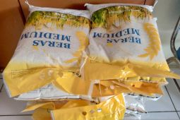 Tekan kenaikan harga, Bulog Belitung siapkan 500 ton beras medium