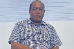 Disnakertrans Papua: Sejumlah sungai berpotensi jadi pembangkit listrik