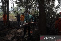 Zulfydar Zaidar Mochtar minta tindak tegas pelaku pembakaran lahan