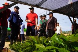 Pemkab Kapuas Hulu harap perkebunan kopi tumbuhkan ekonomi masyarakat