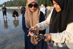 FOTO - Pelepasan tukik belimbing di Aceh Besar