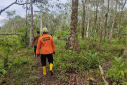 Seorang nenek hilang di hutan karet Sungai Asam