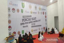 Kejuaraan pencak silat Bupati Madina Cup digelar