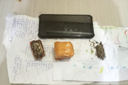 Satnarkoba sita  puluhan gram ganja kering dari seorang pemuda