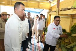 Wagub Sumut minta Bupati Pakpak Bharat dorong budi daya talas beneng