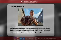 Kalbar Kemarin: harga TBS di Kalbar Rp2.421.08 perkilogram hingga cegah begal di Pontianak