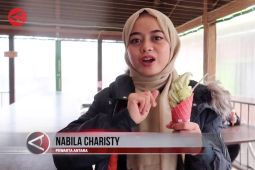 Mencecap es krim rasa wasabi di Jepang