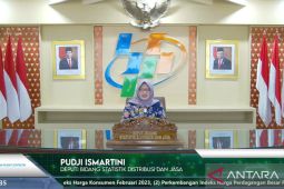 BPS catat produksi beras Januari-April 2023 mencapai 13,79 juta ton