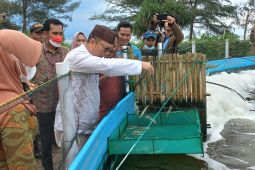 Bangka Tengah optimalkan fungsi balai pembenihan ikan