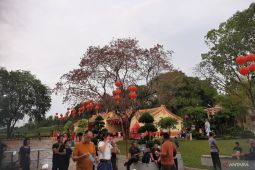 BPS :  120.648 orang wisman kunjungi Kepri pada Januari 2023