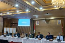 Wamenkeu: Bea Cukai telah periksa pejabat pamer harta