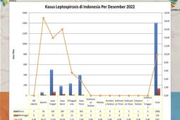 Kemenkes imbau masyarakat waspadai leptospirosis di kawasan banjir