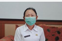Dinkes Bangka perkuat jejaring layanan kesehatan ibu hamil
