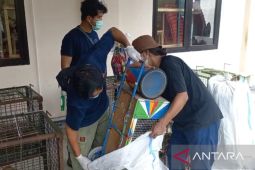 Pekerja topeng monyet di Madiun serahkan 23 kera ekor panjang ke BKSDA