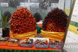 "Loading ramp" ditutup agar tata niaga sawit sehat