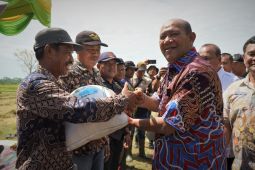 Plt bupati yakin Langkat akan jadi sentra kedelai Sumatera Utara