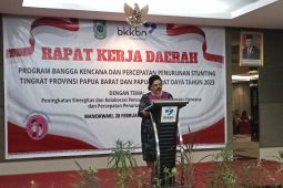BKKBN Papua Barat siapkan langkah strategis untuk penanganan stunting