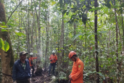 Belum ditemukan, Tim SAR hentikan pencarian nenek yang hilang di kebun karet