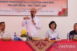 Pemkab Bangli ingin belanja 40 persen APBD untuk UMKM
