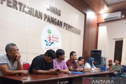 Bangka Selatan kumpulkan penyuluh pertanian