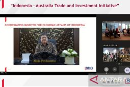 Menko Airlangga sebut stabilitas politik Indonesia dapat tarik investasi