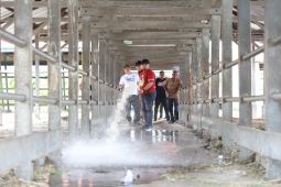 Peringati HPSN, ini yang dilakukan Pemkab Aceh Besar di pasar hewan Sibreh