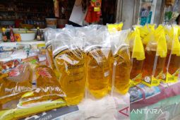 Bengkulu usulkan penambahan kuota Minyakita