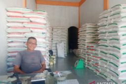 Harga beras di Abdya turun jelang puasa Ramadhan, begini penjelasannya