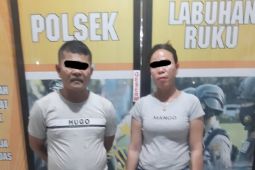 Suami istri di Batubara kompak jualan pil ekstasi