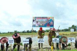Syukuran panen raya padi dan tanam perdana cabai