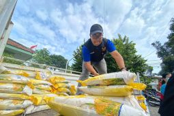 Usai pantauan, DKPP Kota Kediri Harga beras mulai turun