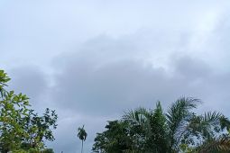 Hari ini cuaca di Pangkalpinang diprakirakan berawan tebal