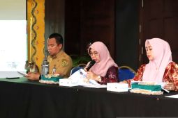Banjarmasin Sasirangan Festival ditarget datangkan 75 ribu wisatawan